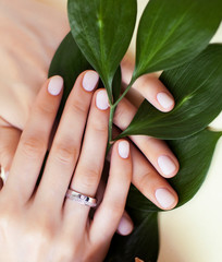 pretty perfect woman hands with white manicure and green leaf on colorful background with wood, spa cosmetic concept