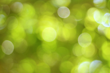 Sticker - natural yellow and green bokeh background