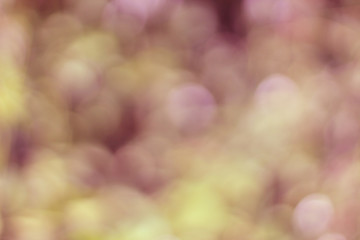 Sticker - natural light purple bokeh background from the front of the tree