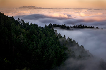  Fog over the Hills