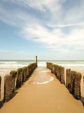 Vertical Shot Of Wooden Breakwaters On The Golden Sand Beach With A Clear Sunny Sky