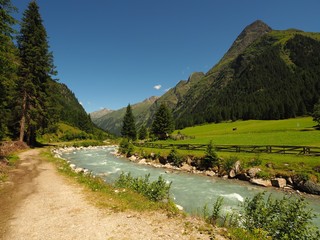 Sticker - Landscape shot of a stream flowing water