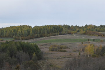 Wall Mural - landscape with river and trees