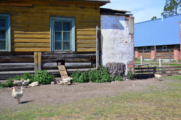  russian open spaces on a summer day