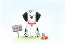 Cute Hand Drawn Illustration Of Sad Puppy Dog, Sitting On Grass Next To Wooden Sign With Text Adopt Me, And Teddybear, Red Ball And Collar, On White Background