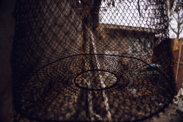 fishing net