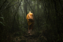 Rear View Of Monk Wearing Traditional Clothing Walking In Forest