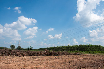 Electricity transmission line with green tree nature, Green conservative energy, Energy be friendly with environment concept, Power distribution pylon system to rural community and countryside