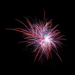 Poster - Wide shot of a beautiful fireworks display on a night sky