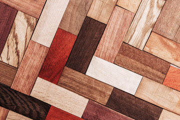 Wall Mural - Set of exotic valuable wood for the catalog, texture and structure of the material