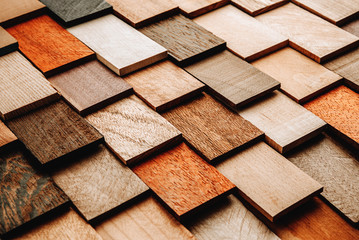 set of exotic valuable wood for the catalog, texture and structure of the material