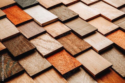 Cuadros en Lienzo Set of exotic valuable wood for the catalog, texture and structure of the materi