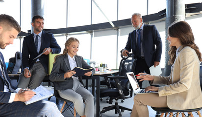 Wall Mural - Business team discussing together business plans in office.