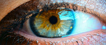 Close-Up Of Human Eye