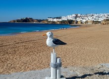 Wooden Seagull Sculpture In Front Of A Sandy Beach