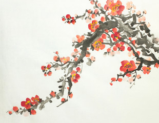 Fototapeta flowering plum branch