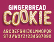 Christmas Gingerbread Cookie alphabet font. Cartoon letters and numbers with shadow. Holiday vector illustration for your design.