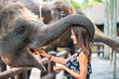 canvas print picture - A young Caucasian woman feeds an elephant at a contact zoo, which has its trunk wrapped around her. The view of the profile