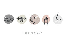 Hand Drawn Simple Icons Representing The Five Senses. Hand Drawn Doodles.