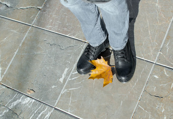 A fallen colorful leaf inside the legs of a person who is wearing black shoes.