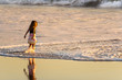 A little girl taking a brave posture and tackling the waves in Malibu Zuma Beach California