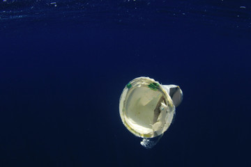 Poster - Plastic cup drifting in ocean. Underwater plastic pollution