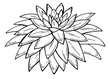 © Lida - Hand drawn outline succulent on a white background. Flowers in the desert. Vector illustration. Perfect for coloring book, greeting card, print.