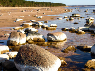 Wall Mural - sunny landscape with rocky seashore, Vidzeme stony beach, Latvia