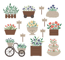 Vector Illustration Of Different Flower Beds. Garden Decorative Flowerbeds With Plants. Collection Of Beautiful Spring And Summer Herbs And Flowers With Sign Plates..