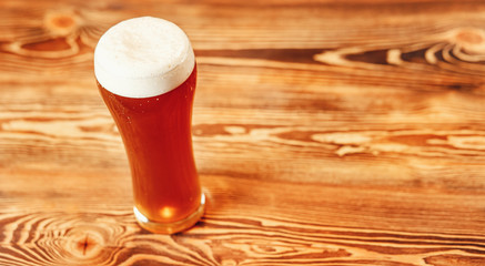 Long glass of fresh light beer with foam on wooden bar counter, dark background