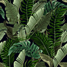 Seamless Pattern With Tropical Leaves On Black Background. Vector.