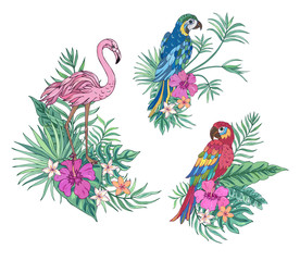 Naklejka na meble Tropical collection parrots and flamingo. Vector design isolated elements on the white background. Exotic flowers and palm leaves. Exotic set tropical for wedding invitations, greeting card.