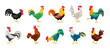 Cock of animal isolated cartoon set icon.Vector illustration set rooster cockerel.Vector cartoon icon cock of animal.