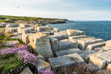 Remains Of An Ancient Disused Quarry At Portland Bill, England, UK.
