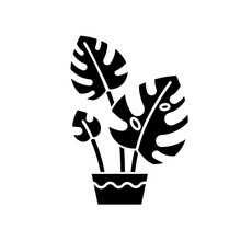 Monstera Deliciosa Black Glyph Icon. Swiss Cheese Plant. Philodendron. Indoor Plant With Split Leaves. Decorative Leafy Houseplant. Silhouette Symbol On White Space. Vector Isolated Illustration