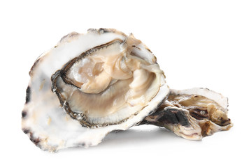 Tasty oyster on white background