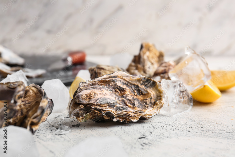 Tasty cold oysters on white background