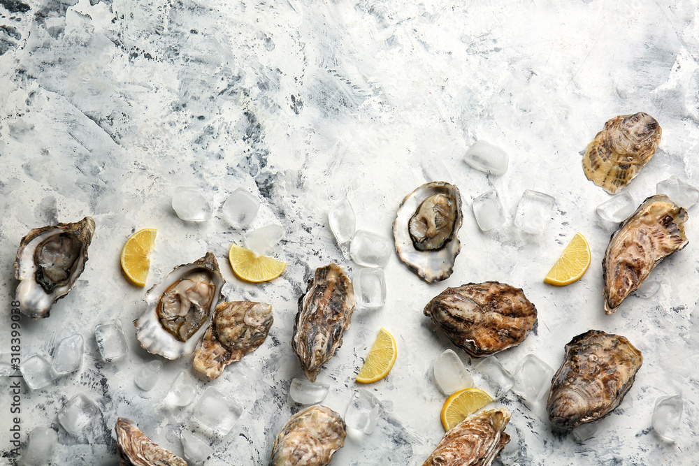 Tasty cold oysters on white background