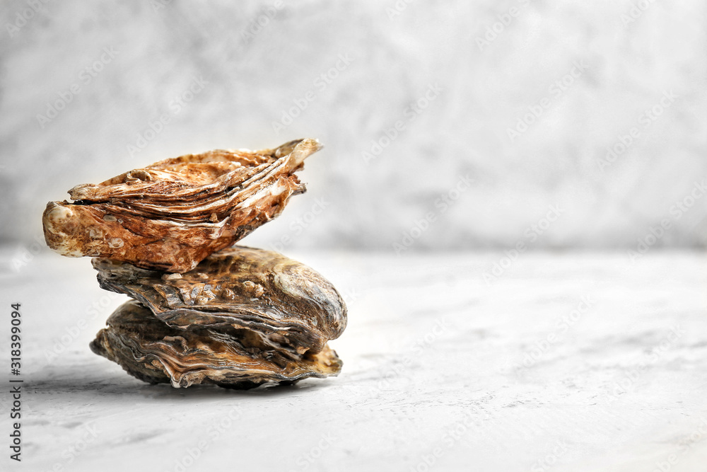 Tasty oysters on white background