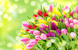 Tulip Flowers Fresh spring bouquet blurred bokeh background
