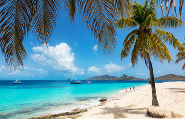 Wall Mural - Idyllic beach at Caribbean