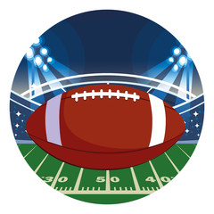 Canvas Print - american football ball on stadium grass