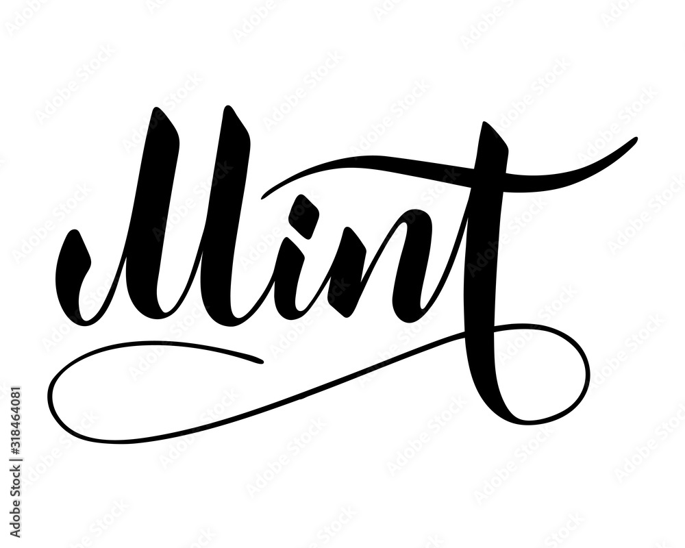 Vector hand written mint text isolated on white background. Kitchen ...
