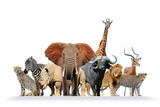 Fototapeta Zwierzęta - Group of African safari animals together