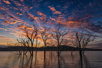 Poster - Sunset at Lake Wyaralong 