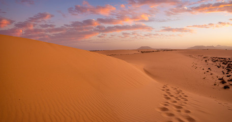 Wall Mural - sand dunes in the national park of dunas de corralejo during a beautiful sunset, canary islands - fu