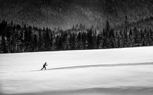 Cross-country Skiers, Slovakia