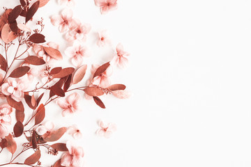 Flowers composition. Eucalyptus branches, pink flowers on white background. Valentines day, mothers day, womens day concept. Flat lay, top view, copy space