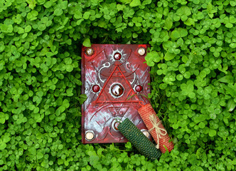 Magic book with candles in the clover field.