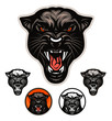 Angry panther head emblem